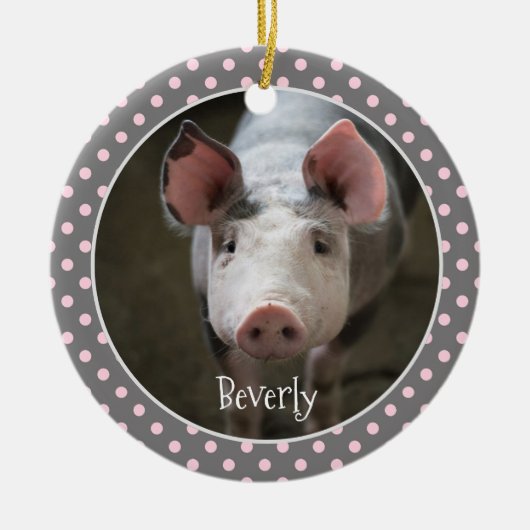 Cute Pig Specialized Ceramic Ornament (Voorkant)