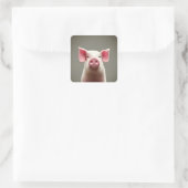 Cute Pig Square Sticker (Tas)