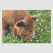 CUTE PIG TISSUEPAPIER (Voorkant)