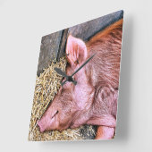 CUTE PIG VIERKANTE KLOK (Hoek)