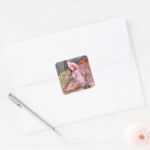CUTE PIG VIERKANTE STICKER (Envelop)