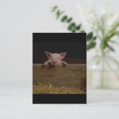 Cute Piglet Briefkaart (Staand voorkant)