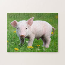Cute Piglet en Dandelion Flowers