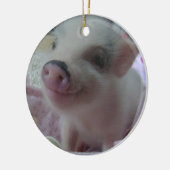 Cute Piglet Ornament (Links)