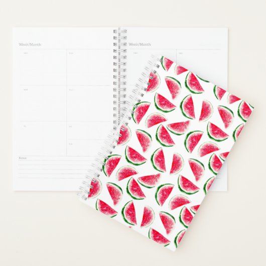 Cute Pineapple & Watermelon Pattern Planner (Display)