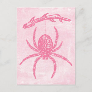Cute Pink Spider Briefkaart