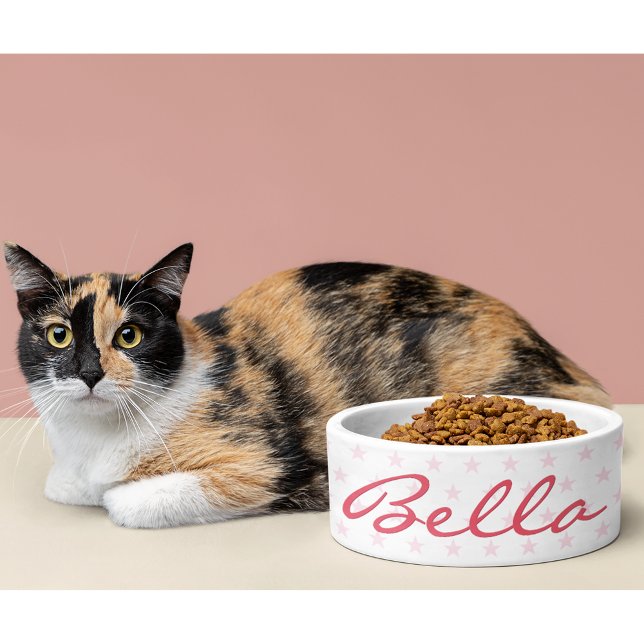 Cute Pink Stars Cat Kat Kitten Puppy Name Food Voerbakje (Cute Pink Stars Cat Kitty Kitten Puppy Name Food Bowl)