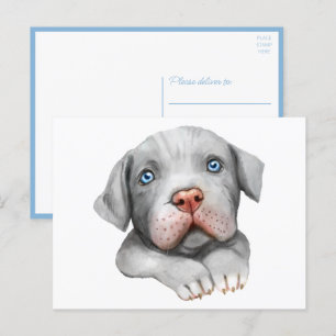 Cute Pit Bull Pittie Puppy Dog Love Hallo Pitbull Briefkaart