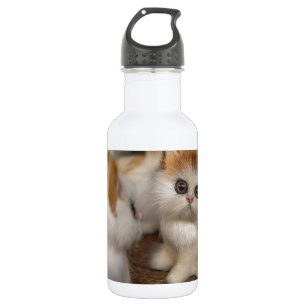 Cute Plushy Kittens Waterfles