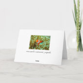 Cute poisson clown sur mer Carte de voeux Anémoniq (Dos)