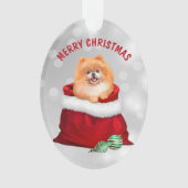 Cute Pomeranian Dog Gift Surprise Ornament (voorkant)