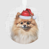 Cute Pomeranian Dog Holiday Christmas Photo (dos)
