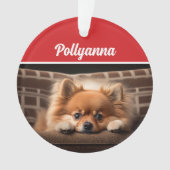 Cute Pomeranian Dog Holiday Christmas Photo (devant)