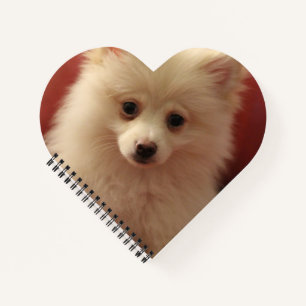 Cute Pomeranian Dog Notitieboek