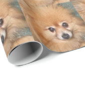 Cute Pomeranian Face Cadeaupapier (Rol Hoek)