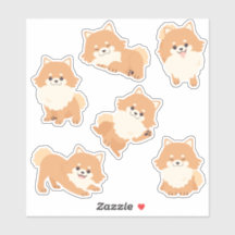 Cute Pomeranian Puppies