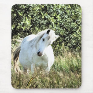 CUTE PONY MUISMAT