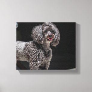 Cute Poodle Dog Face Eyes Tongue Canvas Afdruk