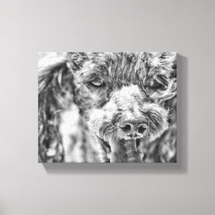 Cute Poodle Dog Face Eyes Tongue Canvas Afdruk