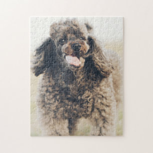 Cute Poodle Dog Face Smile glimlachen Legpuzzel