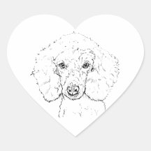 Cute Poodle-hondillustratie, handgetekend