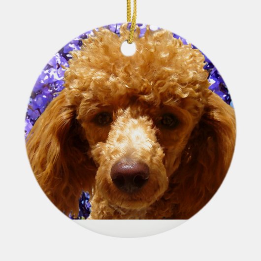 Cute Poodle Keramisch Ornament (Voorkant)