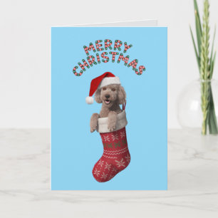 Cute Poodle Kerst Vakantiekaart Kaart