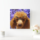 Cute Poodle Vierkante Klok (Huis)
