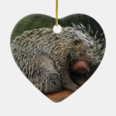 Cute Porcupine Ornament (Achterkant)