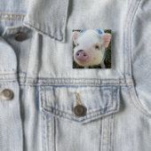 Cute Pot Belly Pig Vierkante Button 5,1 Cm (In situ)