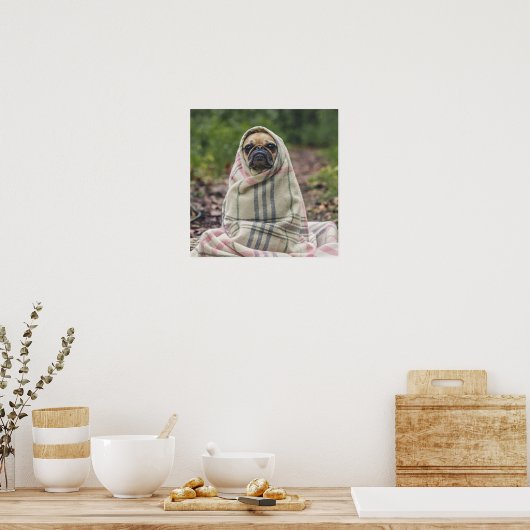 Cute Pug Close-up poster (Keuken)