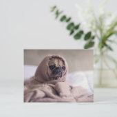 Cute Pug Dog Briefkaart (Staand voorkant)
