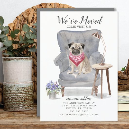 Cute Pug Dog We hebben de aankondiging verplaatst