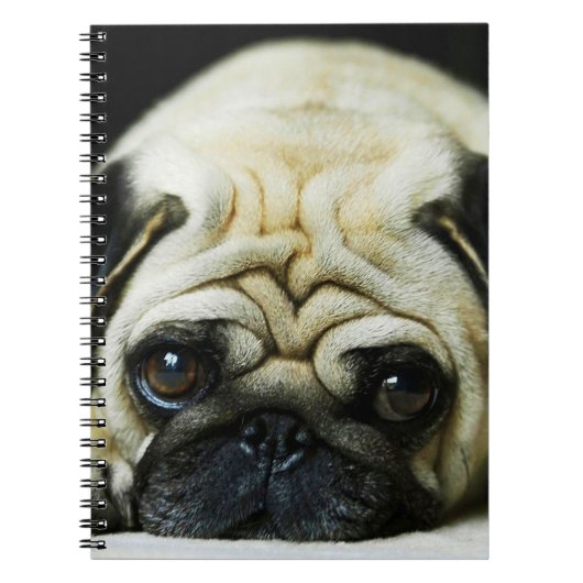 Cute Pug Notitieboek (Voorkant)