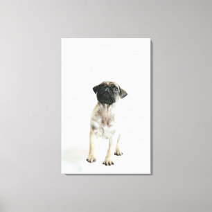 Cute Pug Puppy Canvas Afdruk