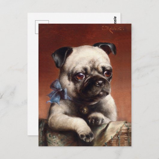 Cute Pug Puppy Dog Briefkaart (Voorkant / Achterkant)