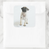 Cute Pug Puppy Vierkante Sticker (Tas)