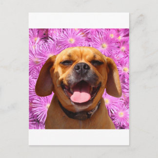 Cute Puggle Briefkaart
