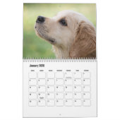 Cute Puppies Calendar Kalender (Jan 2026)
