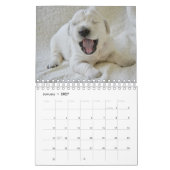 Cute Puppies Pet Photo Calendrier (Jan 2027)