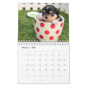 Cute Puppies Pet Photo Calendrier (Feb 2026)