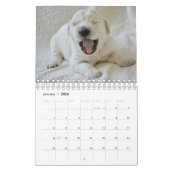 Cute Puppies Pet Photo Calendrier (Jan 2026)