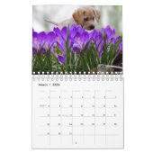 Cute Puppies Pet Photo Calendrier (Mar 2026)