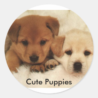 Cute Puppies Ronde Sticker