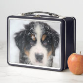 Cute Puppy (In situ)