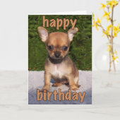 Cute Puppy Birthday Kaart (Gele Bloem)