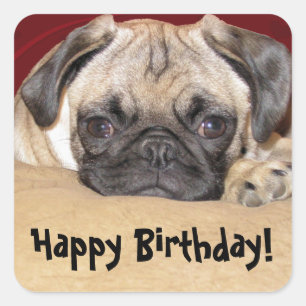 Cute Puppy Birthday Wish Vierkante Sticker
