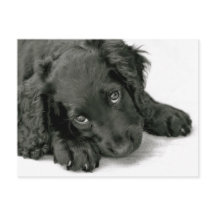 Cute Puppy briefkaart