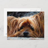 Cute Puppy Briefkaart (Voorkant / Achterkant)