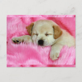 Cute Puppy Briefkaart